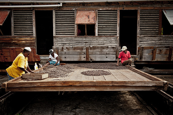 cocoa station two.