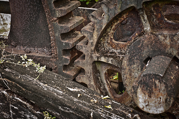 cogs.