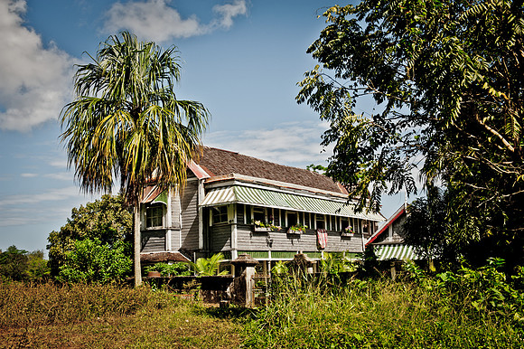 house rosalia.