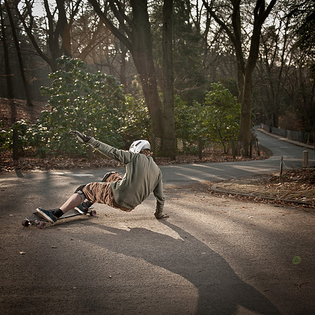 deer crossing.