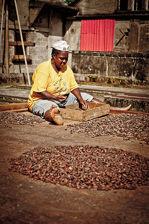 cocoa work.